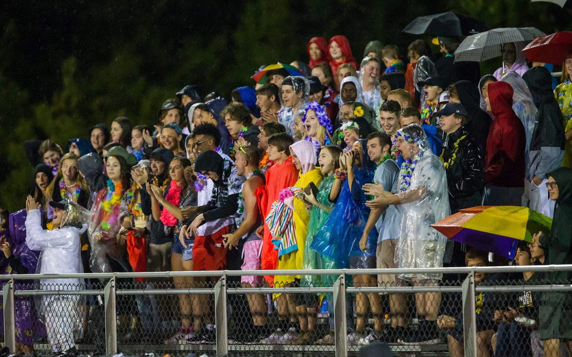 190830_FZNvFH_RADFORD-13.JPG